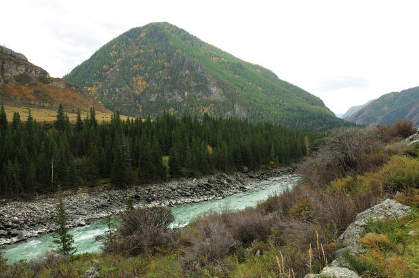 istock A beautiful turquoise river flowing along a coniferous forest surrounded by autumn mountains. 1401257074