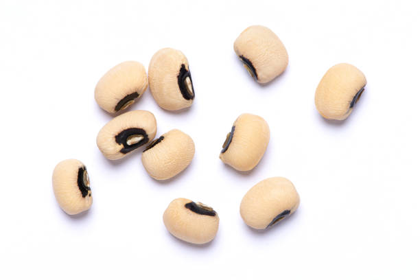 White cow pea beans isolated on white White cow pea beans isolated on white background. Top view. Flat lay. organic red cowpea beans stock pictures, royalty-free photos & images