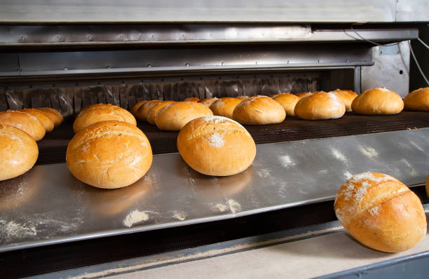 빵집에서 빵 덩어리가있는 컨베이어 벨트. - hot baking 뉴스 사진 이미지