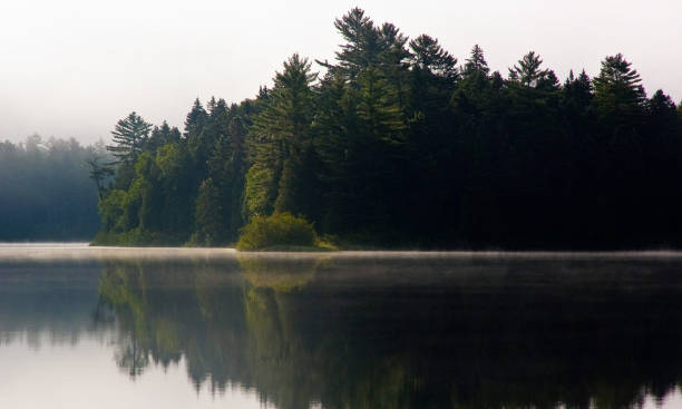 istock La Mauricie ,Canada pictures 1401272741