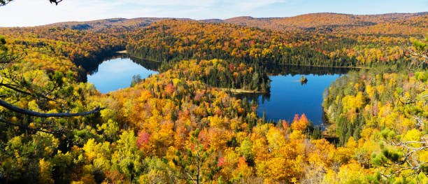 istock La Mauricie ,Canada pictures 1401272742