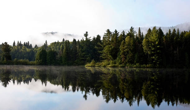 istock La Mauricie ,Canada pictures 1401272788