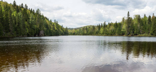 istock La Mauricie ,Canada pictures 1401272869