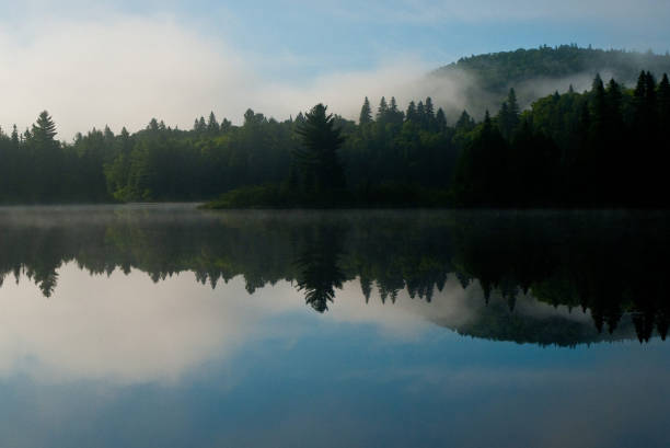 istock La Mauricie ,Canada pictures 1401272876