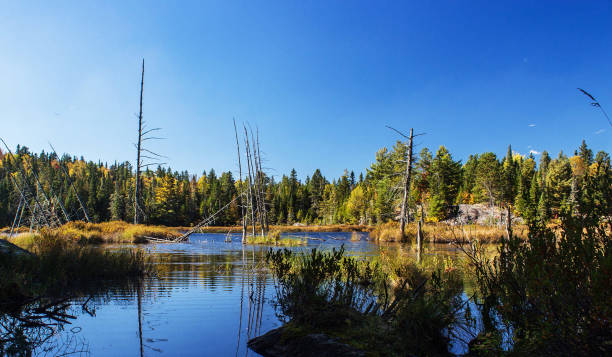 istock La Mauricie ,Canada pictures 1401272883