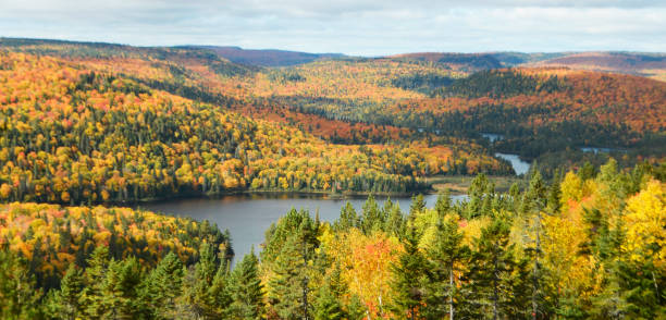 istock La Mauricie ,Canada pictures 1401272909