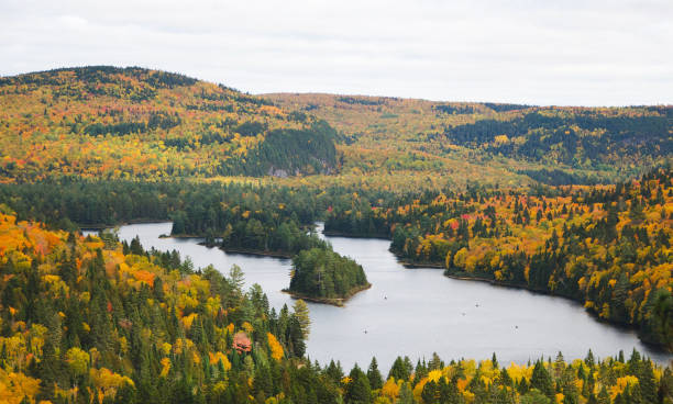 istock La Mauricie ,Canada pictures 1401272940