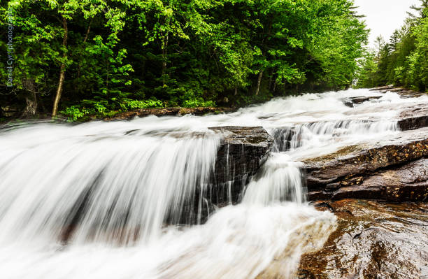 istock La Mauricie ,Canada pictures 1401273499