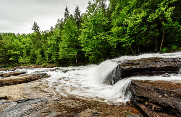 istock La Mauricie ,Canada pictures 1401273530
