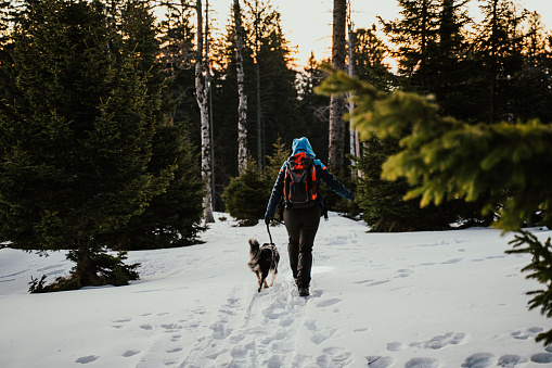 Woman with backpack and border collie dog walking through snow covered forest