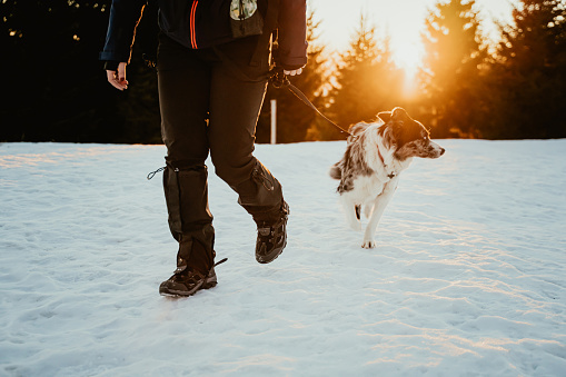 Woman in warm clothing with her border collie dog walking through snow in winter day