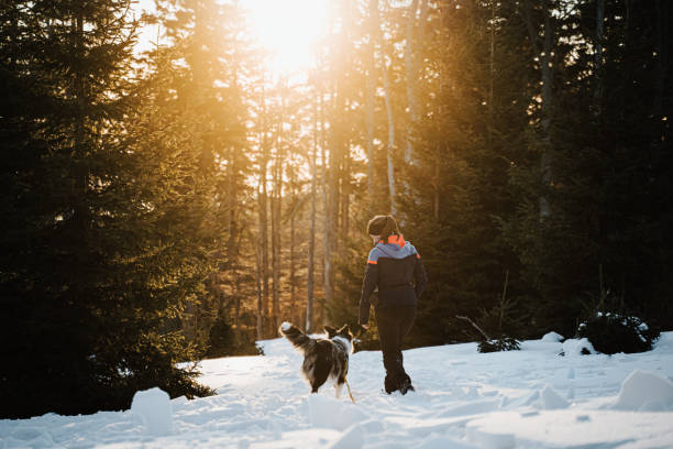 istock Woman with dog walking through snowy forest 1401281943