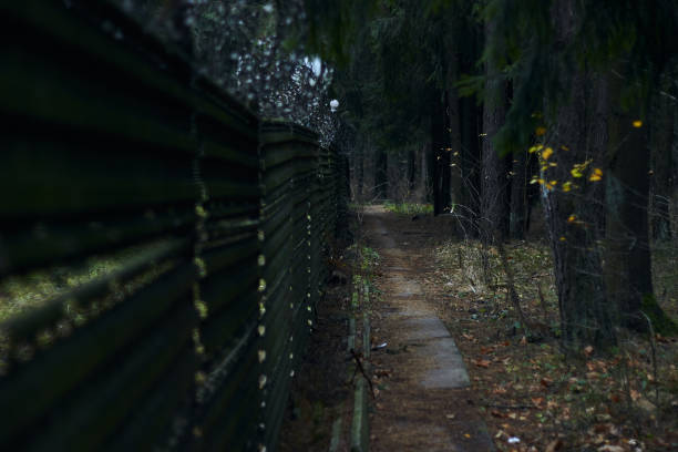 Tall fence with barbed wire angle shot outdoors autumn leafs
