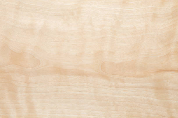 istock Wood texture background. Wooden texture for design and decoration 1401287029