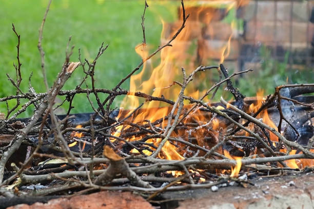 istock Close up of dry branches burning in campfire. Making fire for barbecue in nature 1401287755