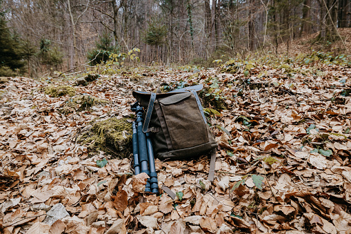 Photographers bag and tripod lying on ground amidst dry leaves in a forest