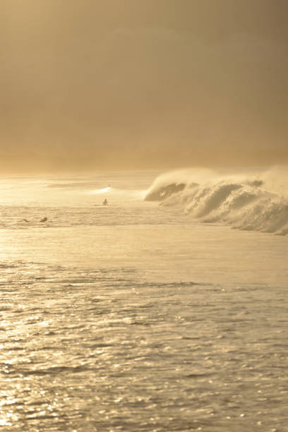istock Golden sunset surfing at Byron Bay 1401288811