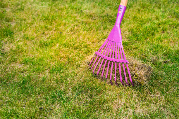 istock Cleaning up the grass with a rake 1401290203