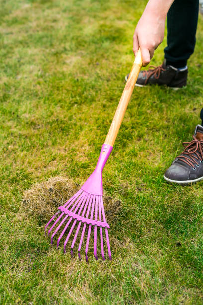 istock Cleaning up the grass with a rake 1401290212