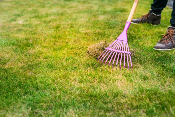 Cleaning up the grass with a rake