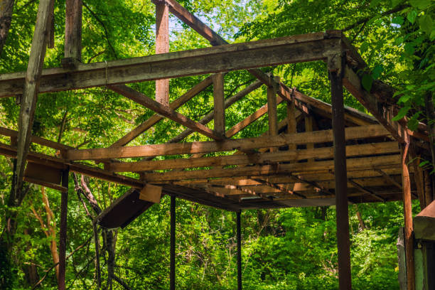 istock Ruins of a old house in a green forest 1401293948