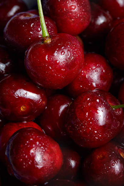 istock Cherry. Macro Fresh organic berries. Cherries. Fruit background. 1401296004