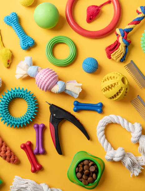 istock Pet care concept, various pet accessories and tools on yellow background, flat lay 1401297517