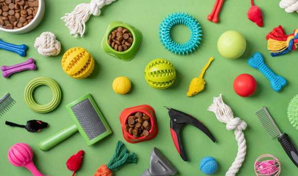 istock Pet care concept, various pet accessories and tools on green background, flat lay 1401298373