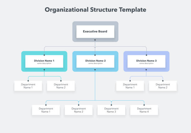 moderne infografik für die organisationsstruktur des unternehmens - hierarchie stock-grafiken, -clipart, -cartoons und -symbole