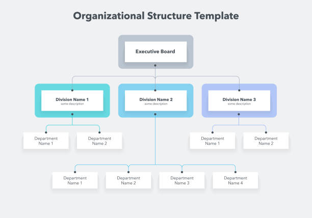 Modern infographic for company organizational structure Modern infographic for company organizational structure. Easy to use for your website or presentation. flow chart stock illustrations