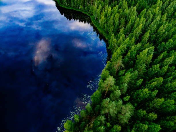 вид с воздуха на голубое озеро и зеленые летние леса в финляндии. - coastline aerial view forest pond стоковые фото и изображения