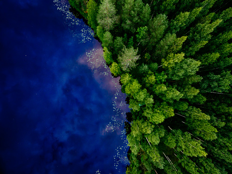 Aerial view of blue water lake and green summer woods in Finland.