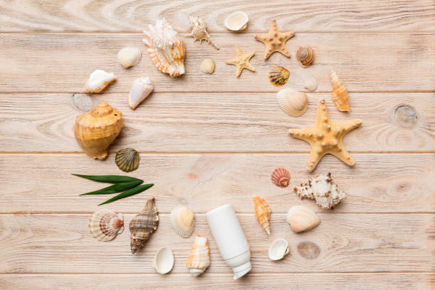 istock Summer time concept on colored background. Seashells from ocean shore in the shape of frame separated with space for text top view 1401304339