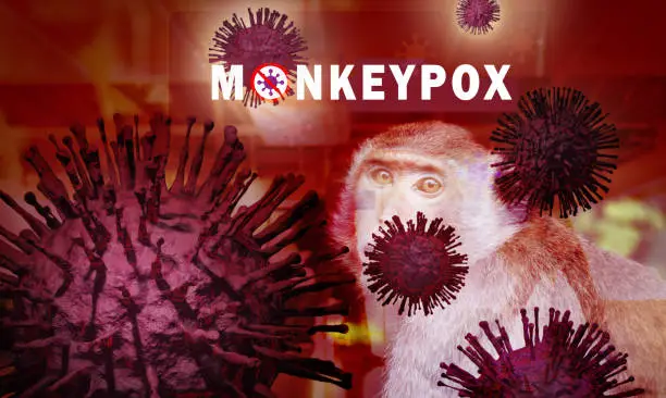 Photo of Monkeypox outbreak concept. Monkeypox is caused by monkeypox virus. Monkeypox is a viral zoonotic disease. Virus transmitted to humans from animals. Monkeys may harbor the virus and infect people.