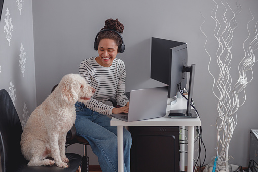 Young pretty female computer programmer in headphones working on laptop sitting at home with pet dog