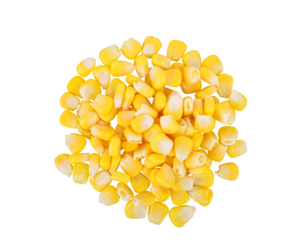 семена кукурузы выделяют на белом фоне. вид сверху - corn kernel стоковые фото и изображения