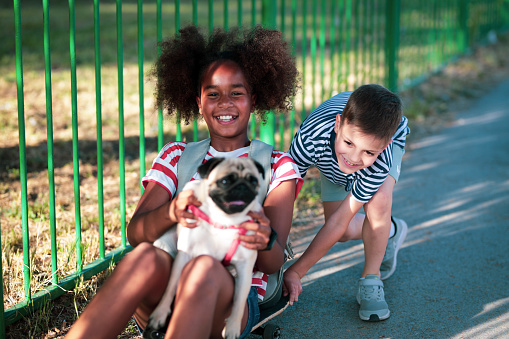 Kids playing with dog outdoors. Afro american etnicity girl