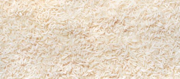 rice grain closeup background for design rice grain closeup background for design jasmine rice stock pictures, royalty-free photos & images