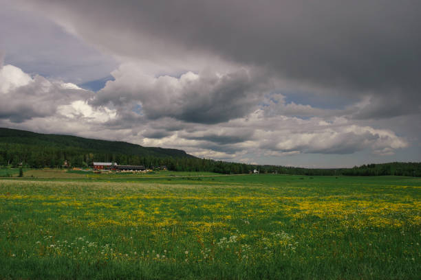 Sweden village nature landscape