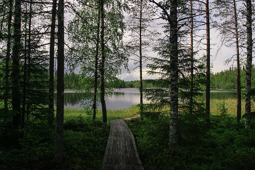 Sweden lake nature landscape forest wilderness