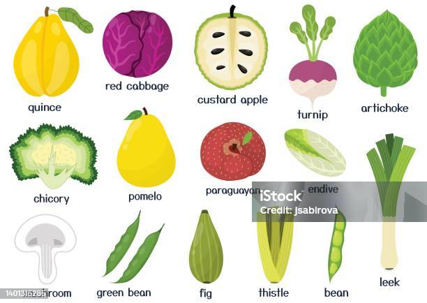 Fruits And Vegetables Set Collection Of Healthy Food Isolated Elements In  Cartoon Style Stock Illustration - Download Image Now - iStock
