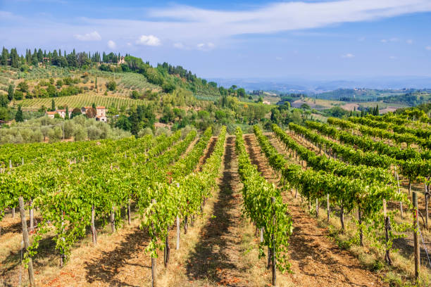 istock Valdelsa Landscape - Tuscany 1401317873