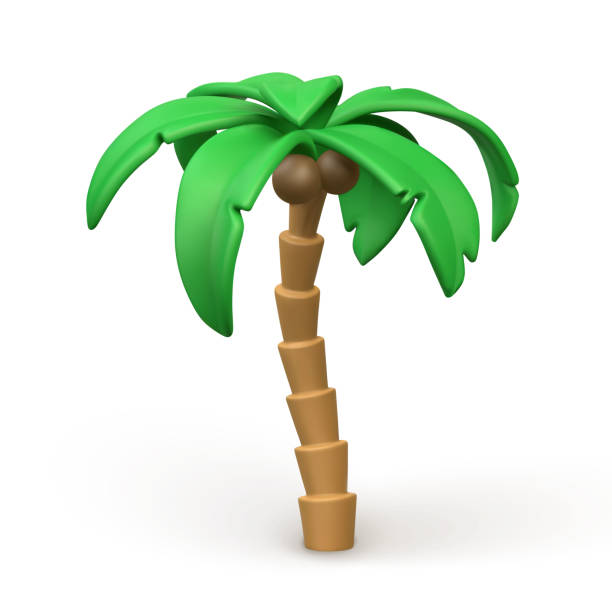 3D Cute cartoon tropical palm tree. Realistic jungle tree on white background. Summertime object. Vector illustration 3D Cute cartoon tropical palm tree. Realistic jungle tree on white background. Summertime object. Vector illustration. palm tree cartoon stock illustrations