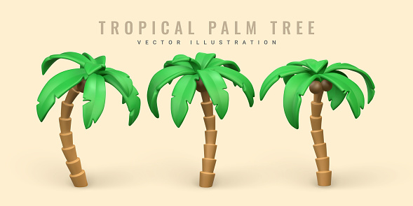 3D Cute cartoon tropical palm tree. Realistic jungle tree on white background. Summertime object. Vector illustration.