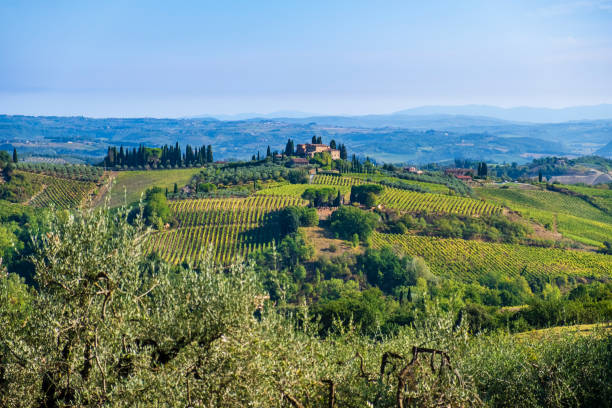 istock Valdelsa Landscape - Tuscany 1401319686