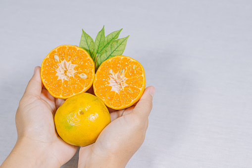 orange fruit isolated in womam hand on white background. healthy food. clipping path