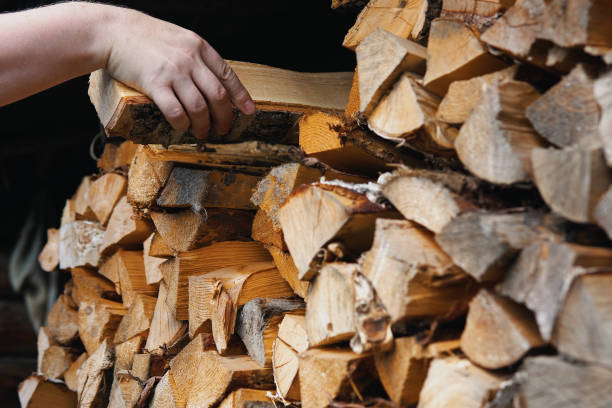 istock A man's hand takes a birch dry chipped log from a woodpile. 1401321890