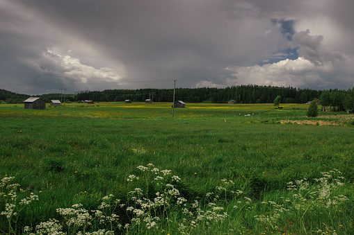 Sweden village nature landscape