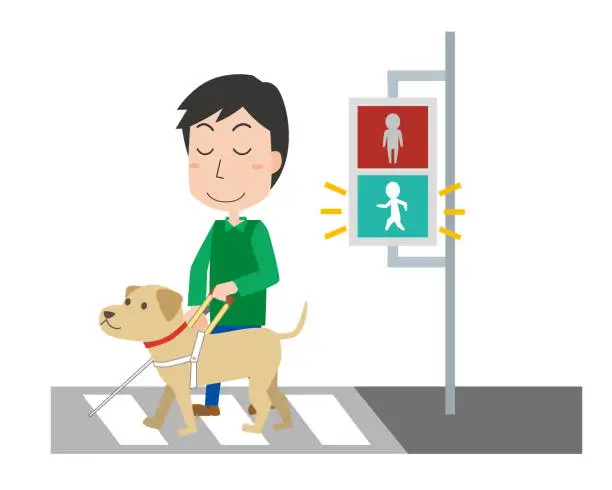 Vector illustration of Visually impaired and guide dogs crossing a pedestrian crossing