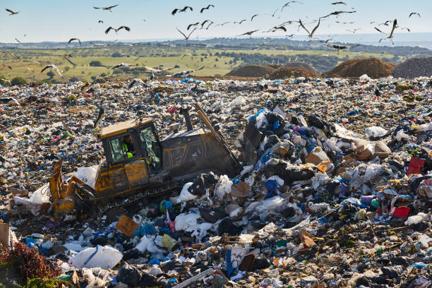 istock Heavy machinery shredding garbage in an open air landfill. Pollution 1401324674
